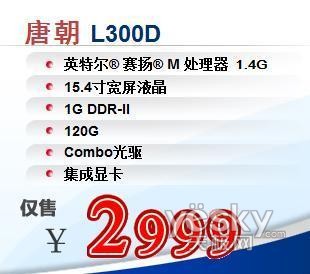 唐朝L300D