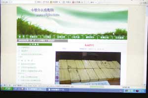 大学生染毒被迫休学 自办戒毒网站(组图)