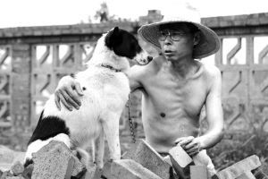主人去世小狗守家门1年 遇地震仍不离开(图)