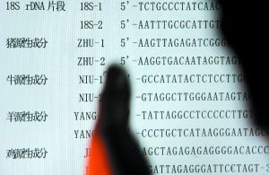女子买牛肉疑是猪肉 送肉丝做DNA鉴定(图)