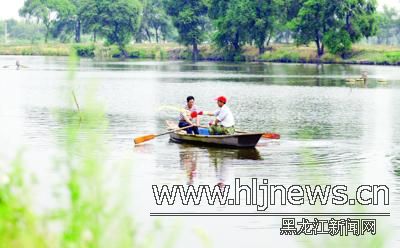 哈尔滨市长岭湖湿地抽水养鱼加剧生态危机-湿