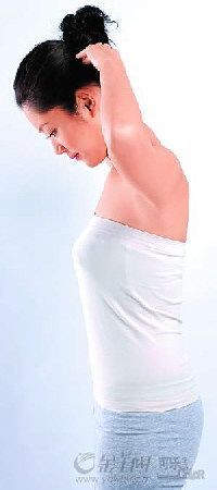 教办公室美女OL的护颈六招