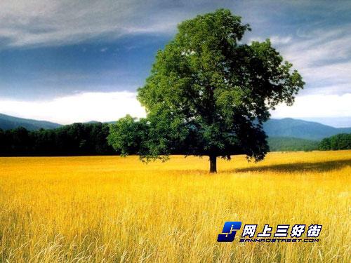 款款都是精品五款顶级便携数码相机推荐