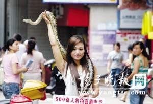 美女当街与蟒蛇共舞 为征奇人拍电影(图)