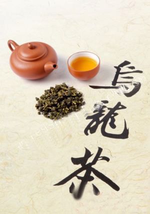 健康消脂的茶 健康消脂的茶
