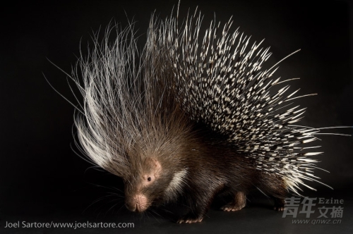 我们的世界充满神奇