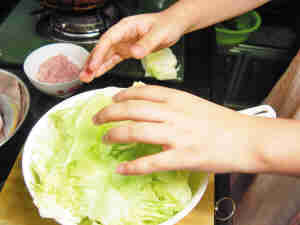 麻辣手撕圆白菜