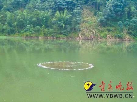 四川南广河冒出神秘气泡 河水如开水翻滚(组图)