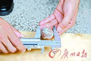 包工头挖出世界最小恐龙蛋 不上缴被查(图)