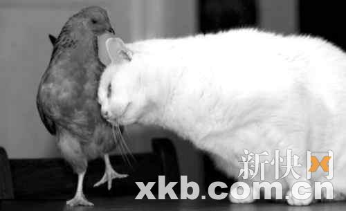 ũ10깫è2Сɺ(ͼ)