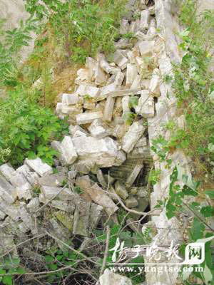 南京发现朱元璋小女儿墓 野史称驸马性变态(图