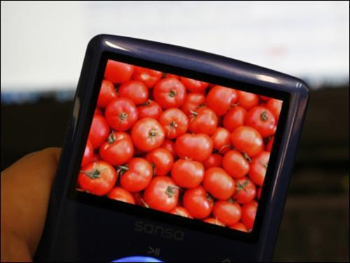 Sansa Fuze iPod口中抢饭吃SanDisk插足MP3市场