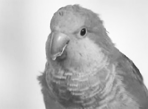 ӤԱҭסϢı(ͼ)