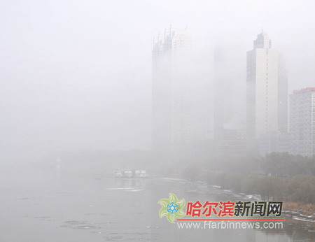 哈尔滨大雾锁城 太平机场停飞半天40个航班受