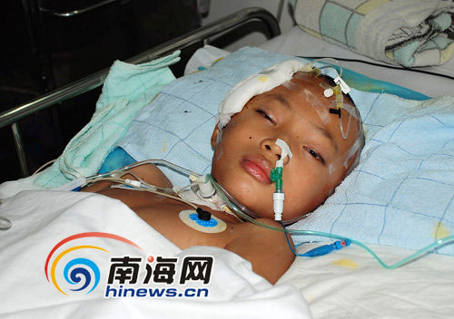 10龄童脑溢血病重 数百幼童捐款相救(图)