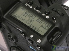 内外兼修的兔子 佳能5D MarkII真机图赏 内外兼修的兔子 佳能5D MarkII真机图赏