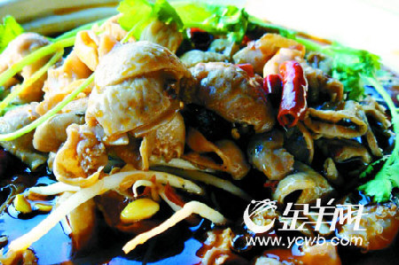 编 号: 2483095
摄影作者:
文件名:yzblyc9168.jpg
文件大小:K
高 X 宽:299 X 450
说明:yzblyc9168.jpg