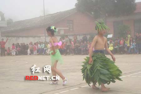 СѧñֽҶݷװ(ͼ)