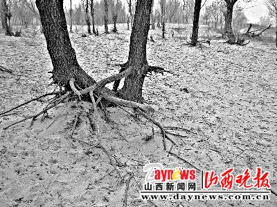 多部门握成一个拳头抗大旱