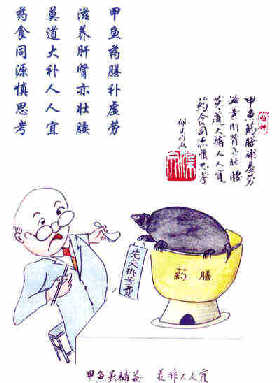 甲鱼大补别乱吃