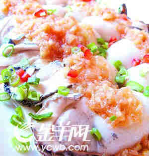 红树林边的特色深井蚝