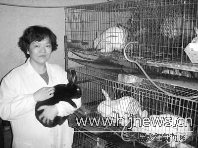 城里女工乡下养獭兔 孟庆芝养殖种兔已达2000