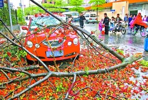 广州下今年第一场春雨 雷雨倾城白昼如夜(图)