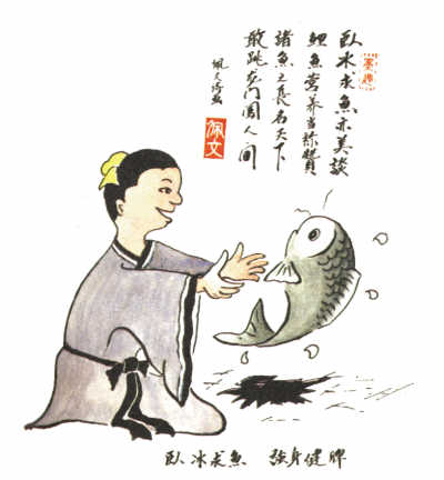 鲤鱼 鱼中“营养王”