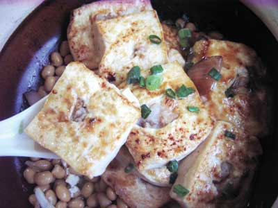 番禺觅食邂逅鸽天下