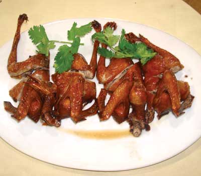 番禺觅食邂逅鸽天下