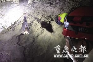 八勇士深入820米地洞探险 极限生存8天(图)
