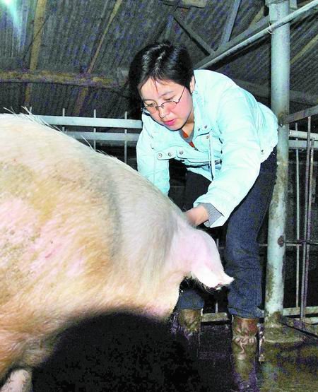 女硕士辞职回乡养猪 自主创业带乡邻致富(图)