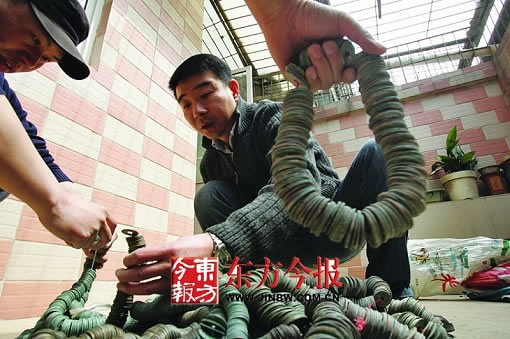 ղذ߾ͭǮ10(ͼ)
