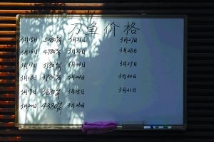 굶е