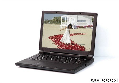 双核独显加HDMI 神舟承运F200T爆2999