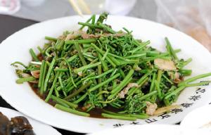 踏青时节话“清明菜”蕨菜