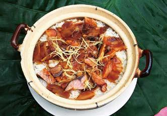 知食老韬下乡记