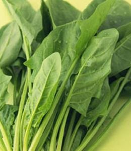 推荐5款瘦脸食物 小脸吃出来
