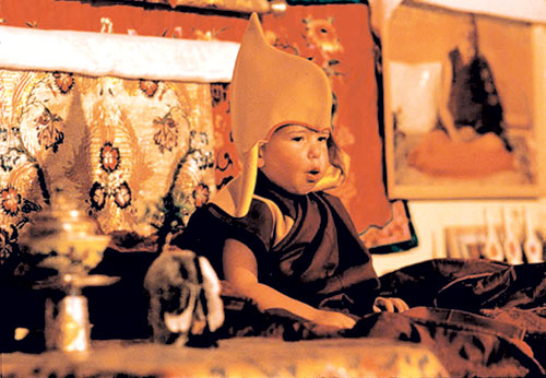 近日,达赖所选的西藏活佛外籍"转世灵童"托雷斯撂挑子不干了.