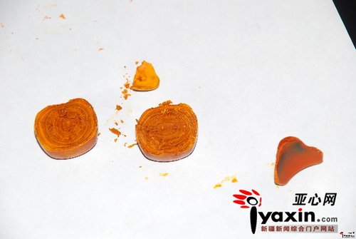 屠夫杀牛牛20多年 获得价值百万牛黄(组图)