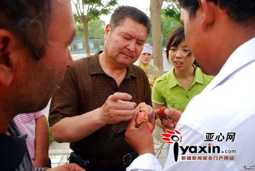 屠夫杀牛牛20多年 获得价值百万牛黄(组图)
