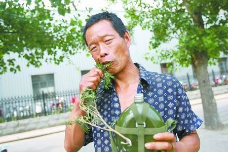 平光武正在吃柏叶
