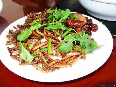 柬埔寨 油炸昆虫香脆可口