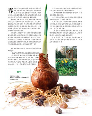80年代十分流行的搪瓷器皿(图)