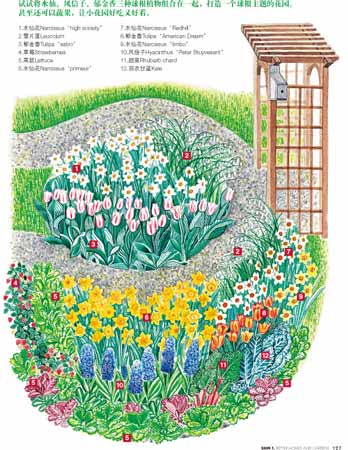 水仙增添了一抹乡村色彩(图)