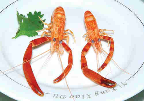鲜味清新 原汁原味