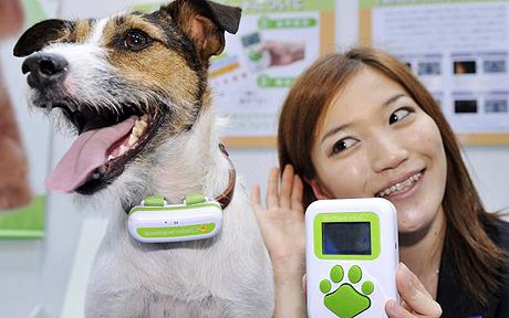 日发明家研制新仪器 可把狗叫声翻译成人话-发