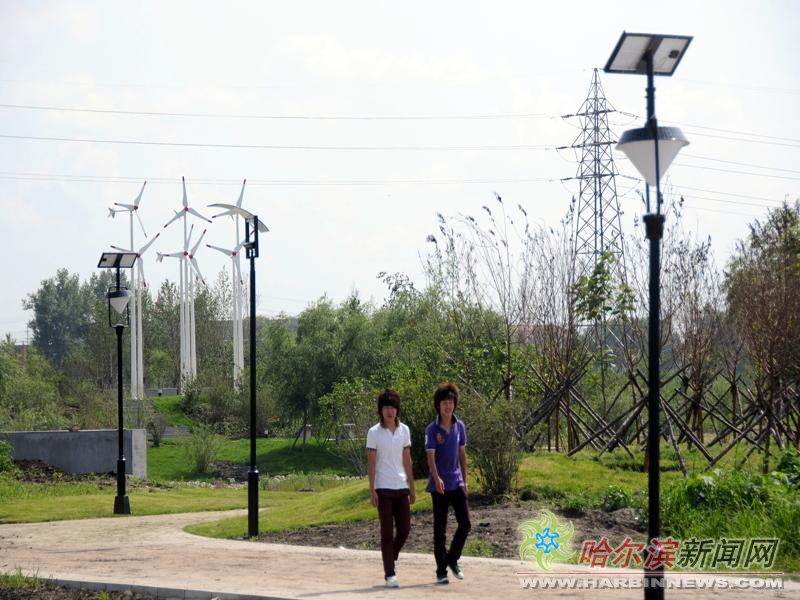 近日,哈尔滨市首个节能主题公园群力新区雨阳公园建设基本完工。该公园占地49504平方米,是哈市第一个以节能为主题的公园。公园地势为南高北低,核心区域为湿地、芦苇和鱼塘。基础设施建设全部遵循节能原则,步道板全部采用具有透水功能的地砖,照明将利用微电脑自动控制灯光,按照季节和昼夜不同自动控制开关灯时间。该公园近日将免费向市民开放。