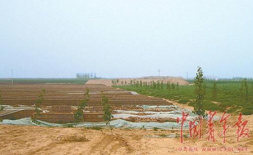 钱到位不怕上级查乡政府可摆平 狂!-钱-东北网