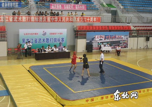 2009年黑龙江省武术散打(擂台)锦标赛落下帷幕